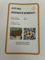 Load image into Gallery viewer, Vintage Gucci Clutch
