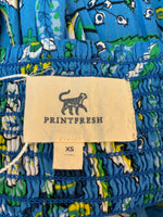Load image into Gallery viewer, Printfresh Blue and Green Print Maxi Dress, XS
